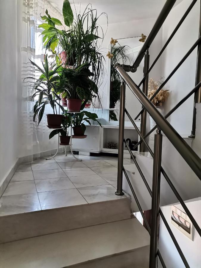 Guest House Konomaevi โซโซโปล ภายนอก รูปภาพ